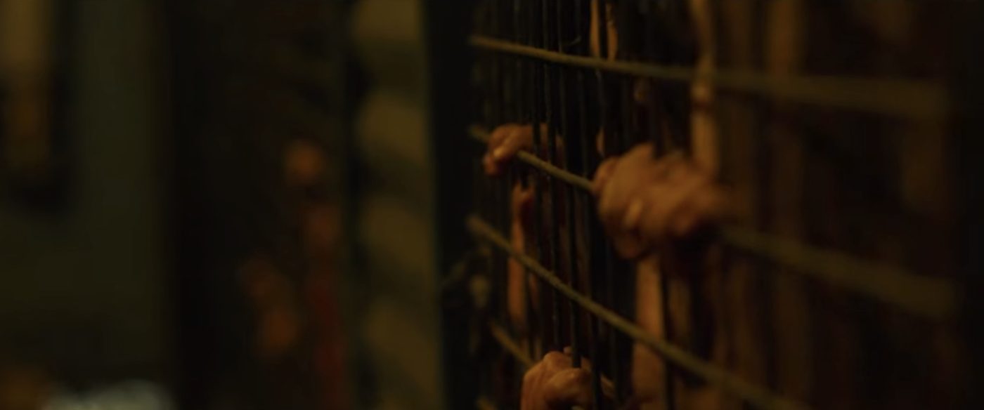 Life After Fighting still