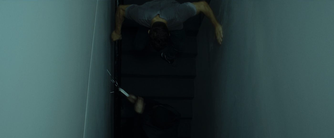 Life After Fighting still