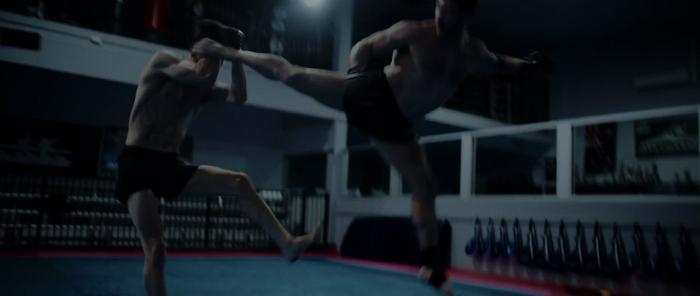 Life After Fighting still